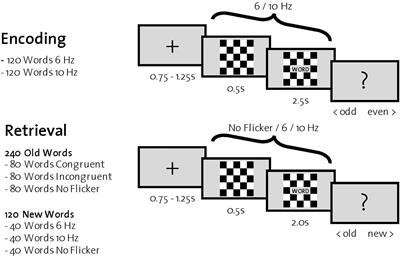 Assessing Rhythmic Visual Entrainment and Reinstatement of Brain Oscillations to Modulate Memory Performance